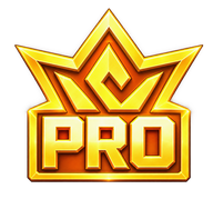 Top 10 PRO badge