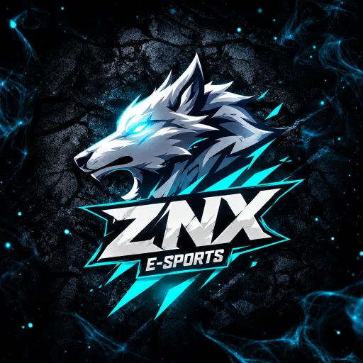 ZNX E-SPORTS